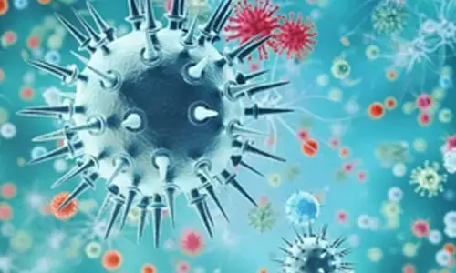 Monitoring outbreak of H9N2 cases in China, India prepared for any health exigency: Health Ministry