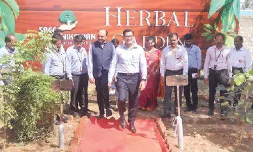 Mohan Babu University Executive Director Vinay Maheswari, Sree Vidyanikethan International School principal Rajesh Patil and others visiting the newly opened gardens in Tirupati on Friday