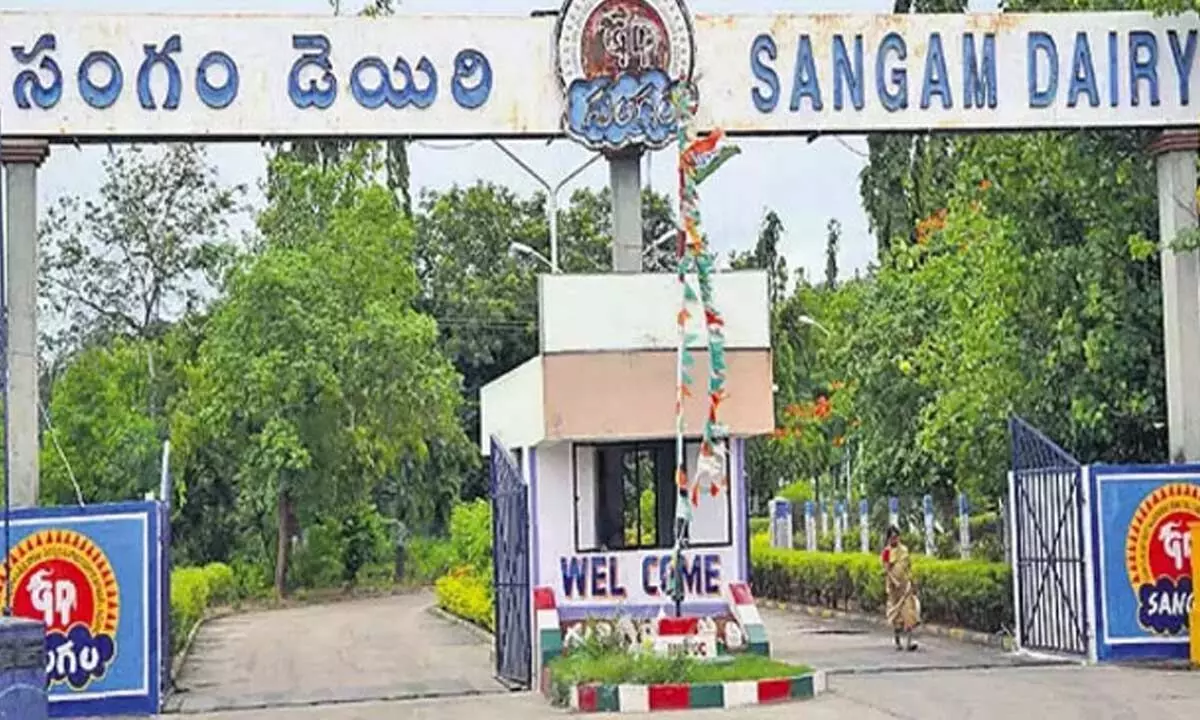 Guntur: Case booked against 3 directors of Sangam Dairy
