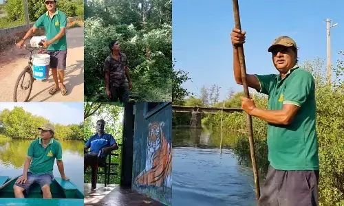 Retiree turns waste quarry land into a mini forest