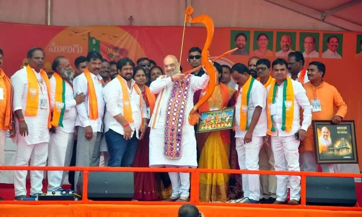 Amit Shah promises total uplift of tribals