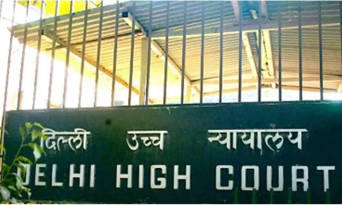 Delhi HC grants Dynamic+ injunction to content creators against rogue websites