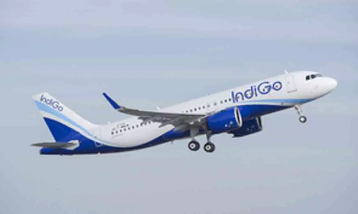 IndiGo introduces AI chatbot with GPT-4 technology for queries, ticket booking