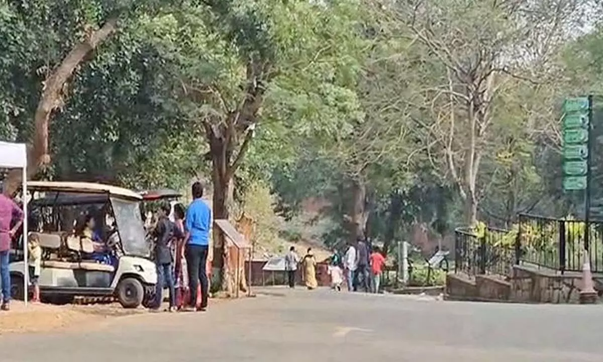 Tragic incident in Visakhapatnam zoo park