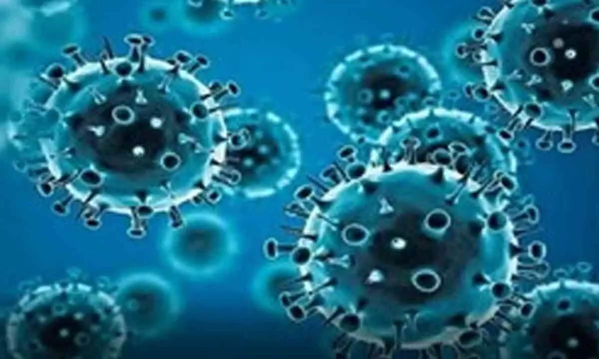 Decoded: How Covid virus makes itself more infectious