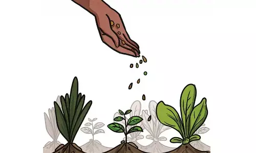 Why so much resistance to the idea of natural farming?