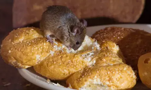 Indian-origin store owner hit with community order for hygiene offences in UK