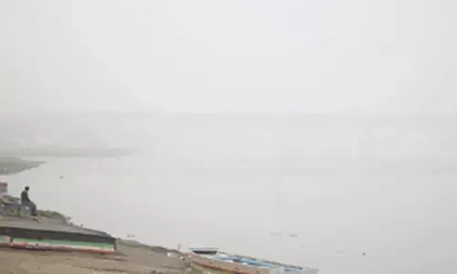 Exposure to air pollution in utero may affect reproductive health in men