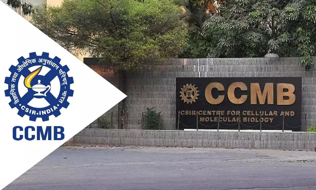 CSIR-CCMB, Aganitha sign MoU for preventing Alzheimer’s