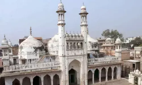 ASI seeks three weeks’ time to submit survey report