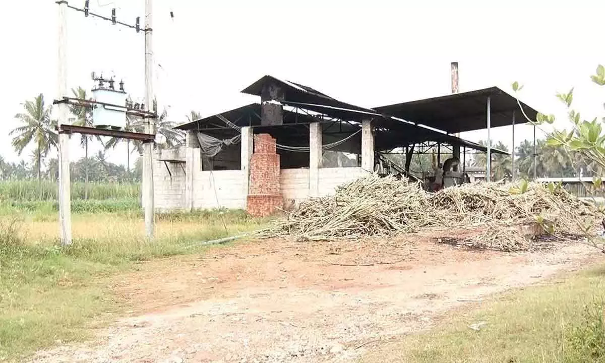 Officials visited sugarcane crushing shed where scanning was conducted for infanticide