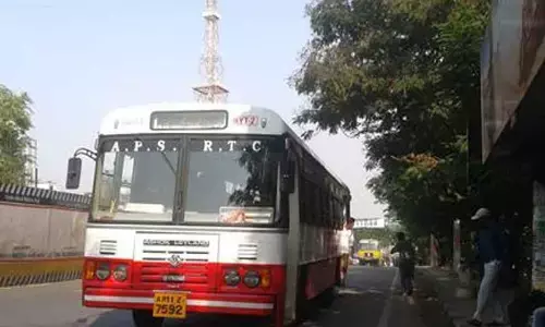 Voluntary organisations to provide free transport to voters