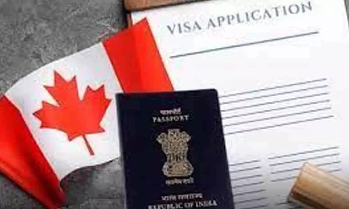 91% drop in Indian visas granted to Canadians this year