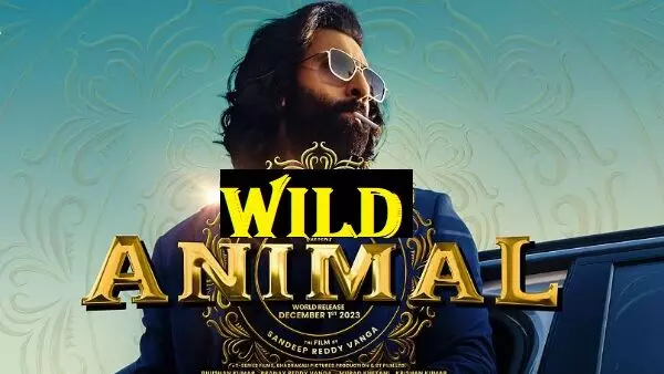 ‘Animal’ review: WILD ANIMAL