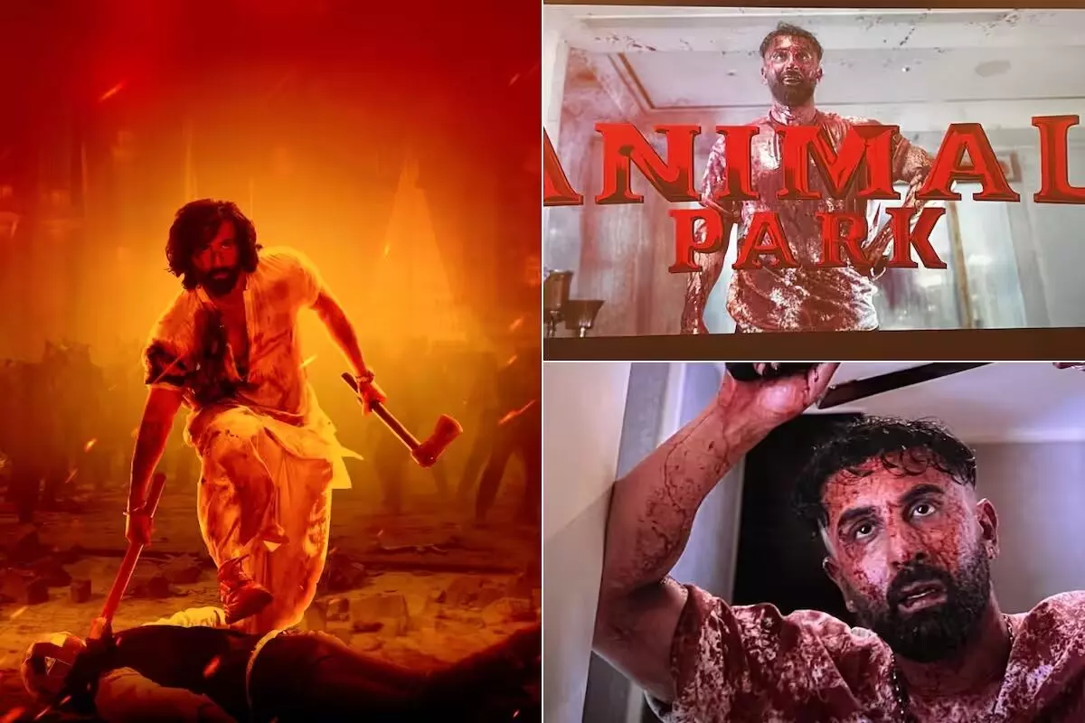 Here are the sequel details of Sandeep Reddy Vanga’s ‘Animal’