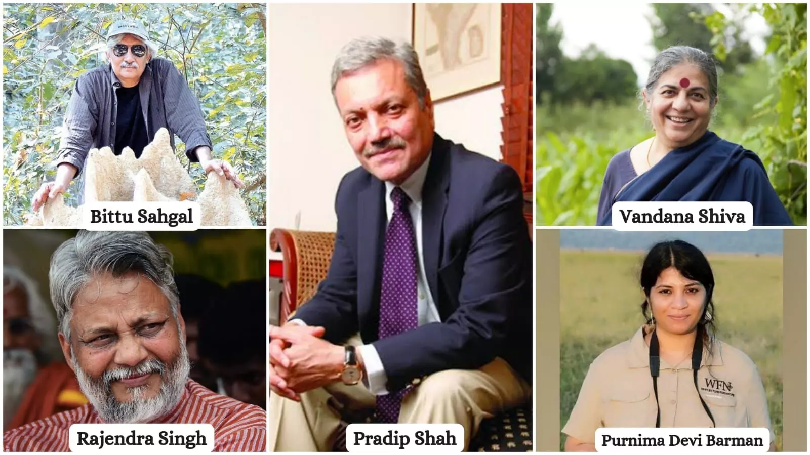 COP28: Five passionate environmentalists who are restoring Indias biodiversity tirelessly
