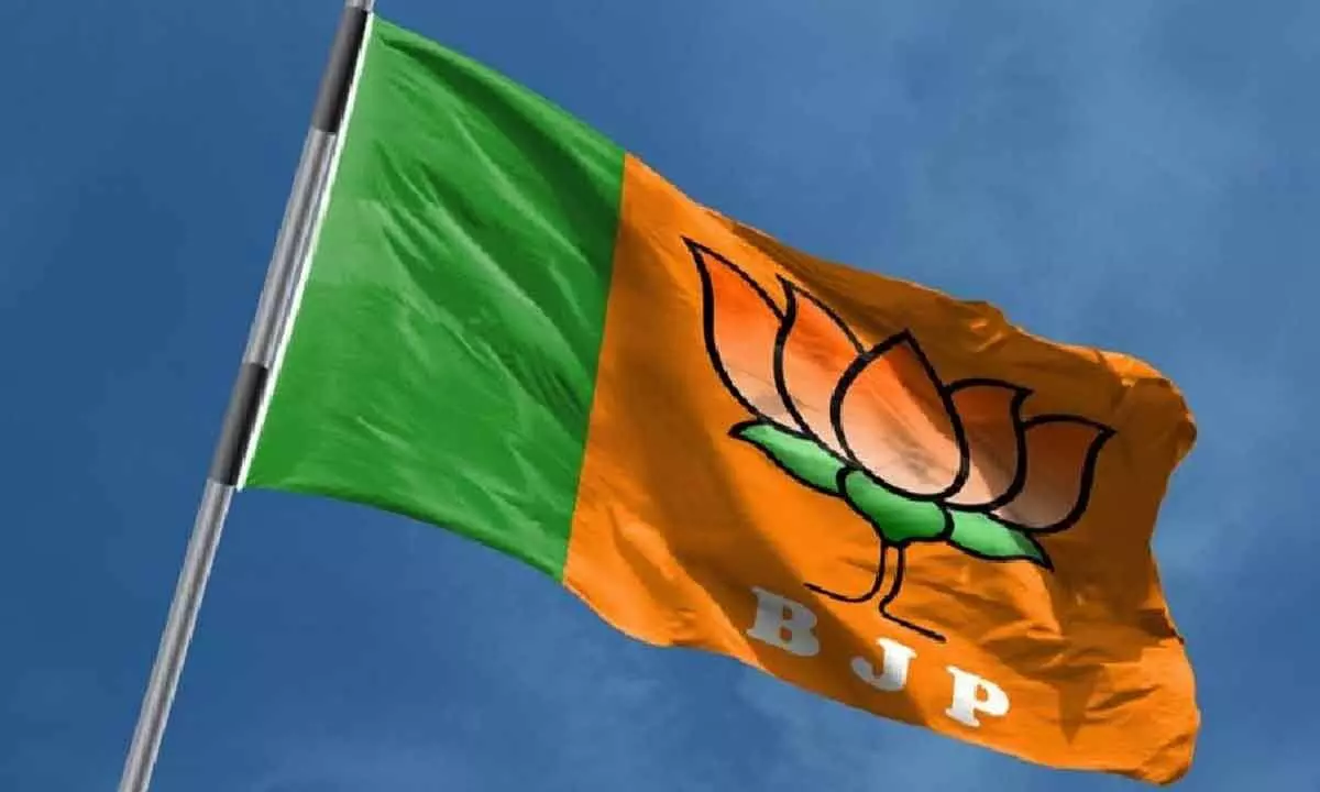 Opposing views within BJP on poll performance