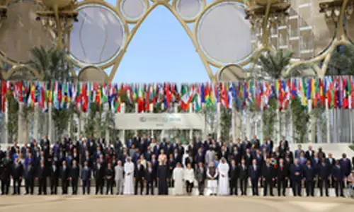 India needs $101bn additional ﬁnancing for net-zero pathway: Report