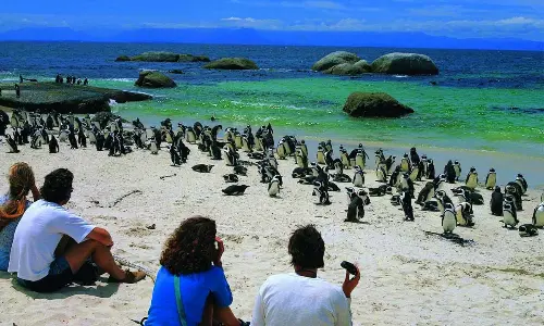 A journey for young explorers