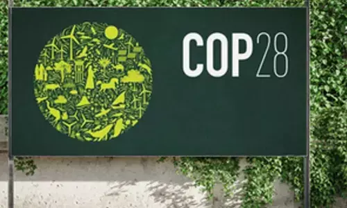 India will proactively lead way in achieving all climate targets: Secretary