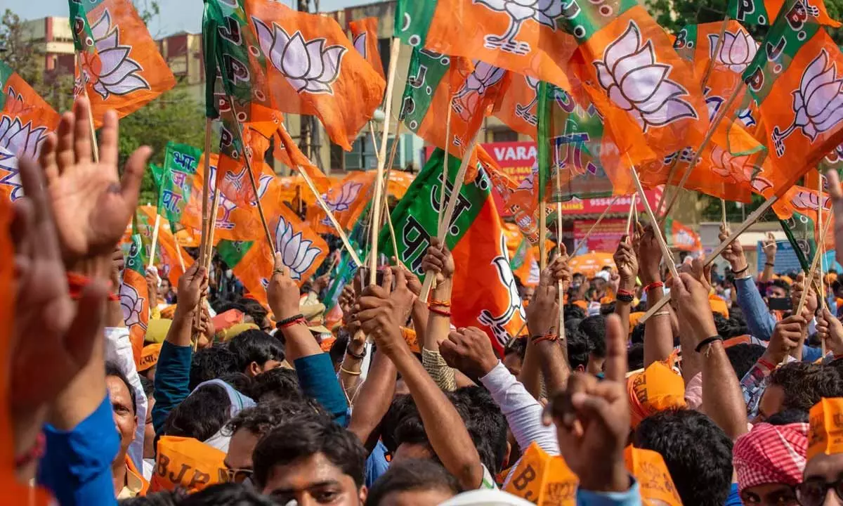 BJP springs surprise winning eight seats with 13% vote share
