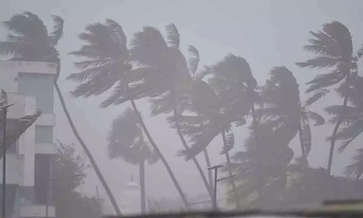 Michaung intensifies into severe cyclonic storm, heavy rains in parts of Andhra