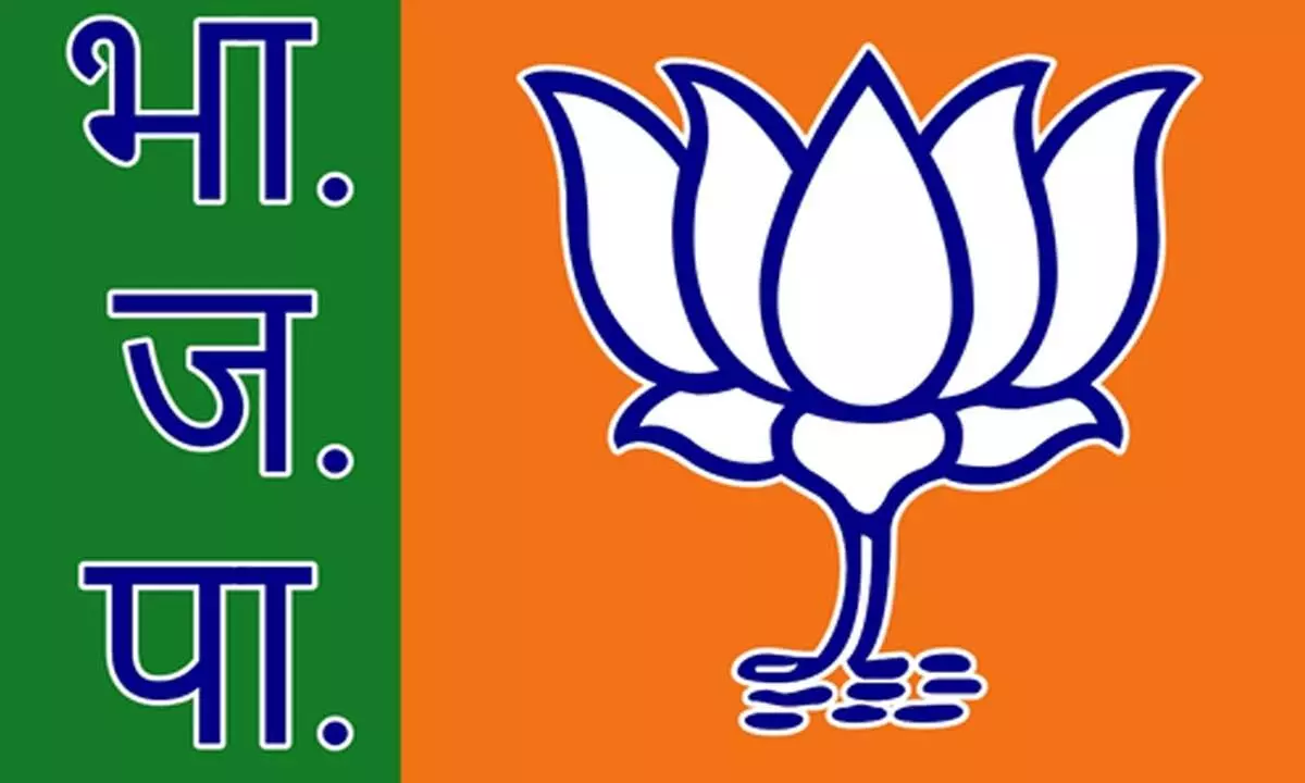 BJP doubles seats in Mizoram from 1 to 2 but vote percentage dips
