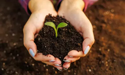 World Soil Day 2023: Date, history and meaning