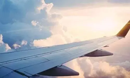 Travel lifts New Zealands international services trade