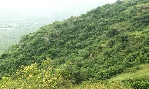 Kappat Gudda Utsav from December 6