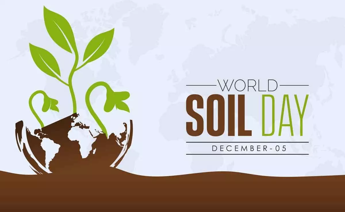 Theme, history, meaning and how to celebrate World Soil Day 2023
