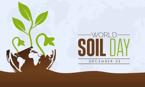 Theme, history, meaning and how to celebrate World Soil Day 2023