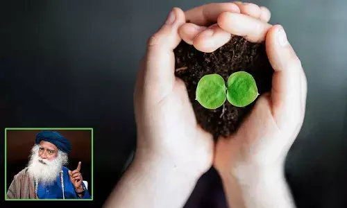 Seeds of Thought: Sadhguru’s Quotes to Celebrate World Soil Day 2023!