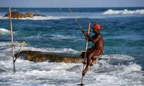 Tourist arrivals in Sri Lanka surged to monthly high in Nov