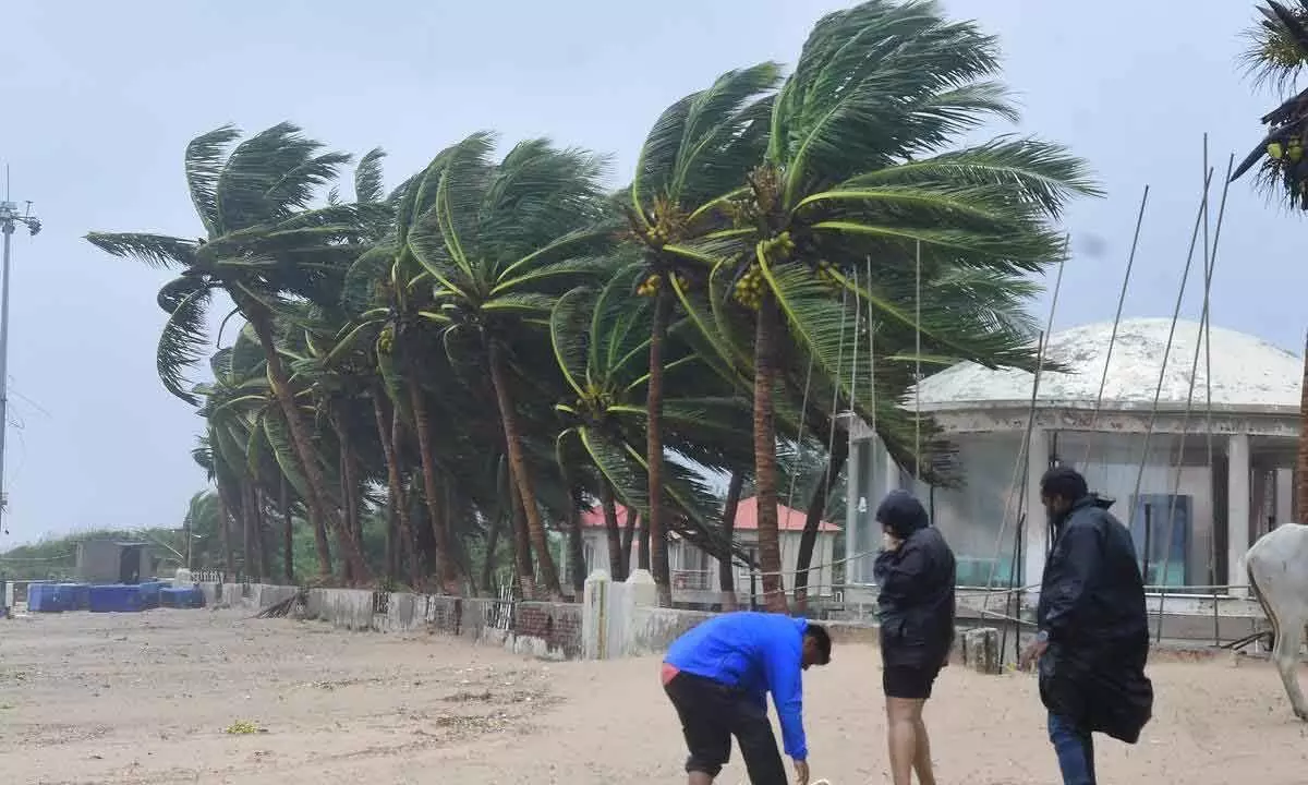 Cyclone wreaks havoc in AP