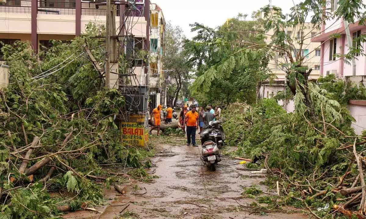 NDRF personnel clear uprooted trees from a street following the landfall of Cyclone Michaung, in Nellore on Tuesday