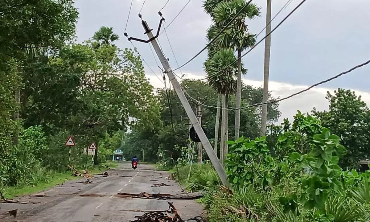 An uprooted electrical pole at Ppodalakuru mandal in Nellore district on Tuesday.