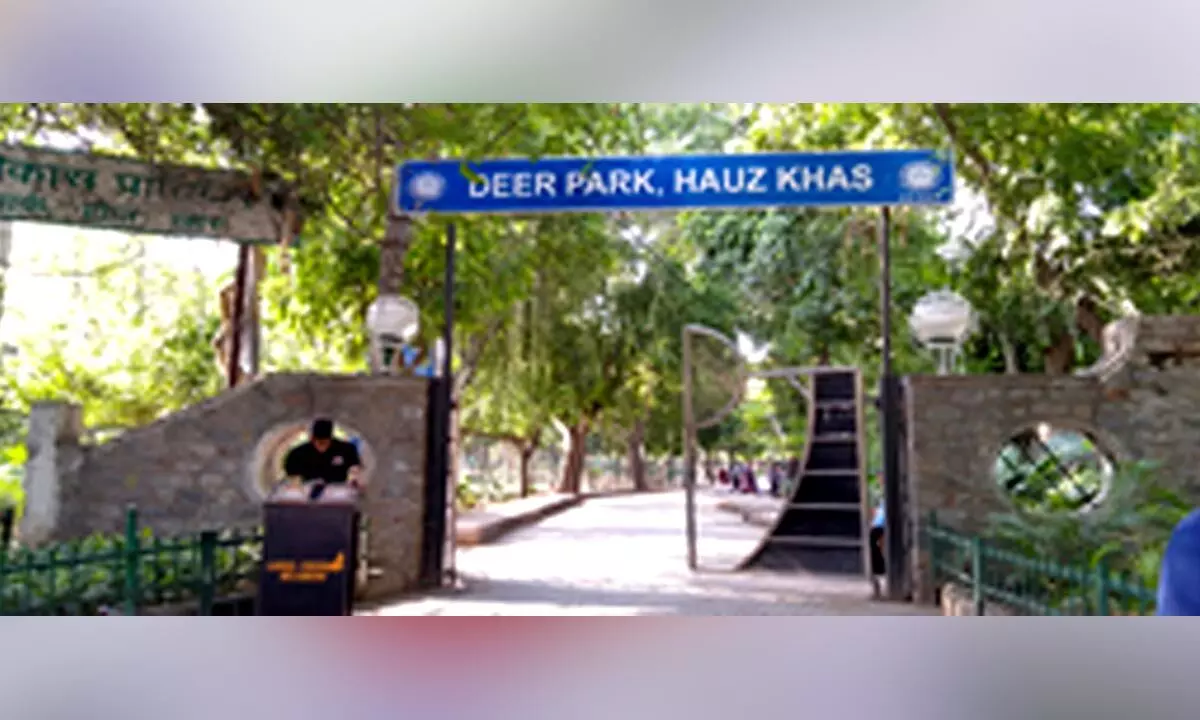 Delhi High Court orders status quo on deer translocation from Deer Park