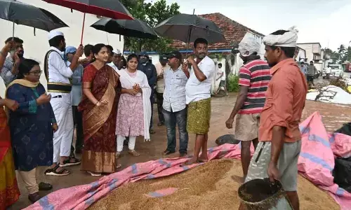 Collector assures support to rain-hit farmers