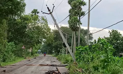 An uprooted electrical pole at Ppodalakuru mandal in Nellore district on Tuesday.