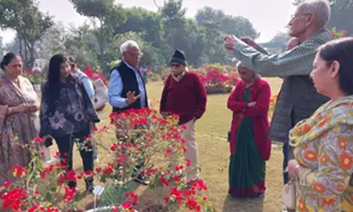 Agra to become ‘bougainvillea capital’ of India