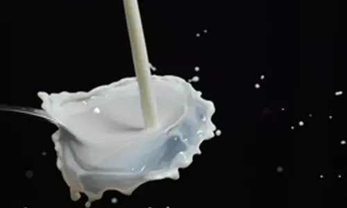 Investigating various milk varieties