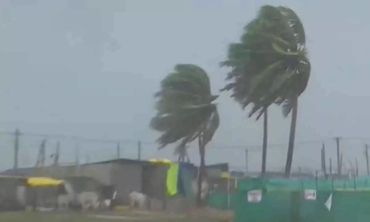 Andhra Pradesh: Special teams formed to assess crop loss caused by Cyclone Michaung