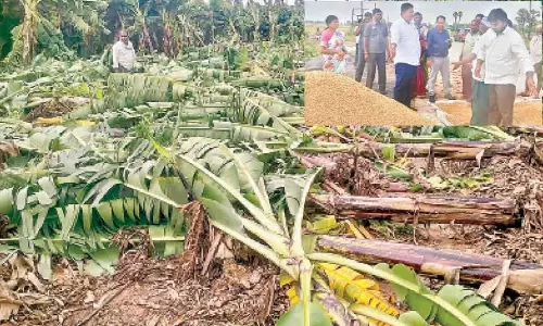 Vijayawada: 40 lakh hit hard by Michaung