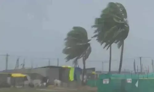 Andhra Pradesh: Special teams formed to assess crop loss caused by Cyclone Michaung