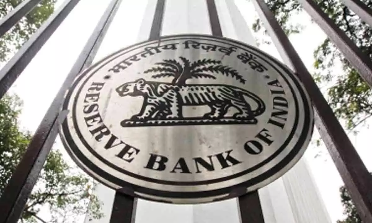RBI ups weight of SBI, HDFC Bank in too-big-to-fail list