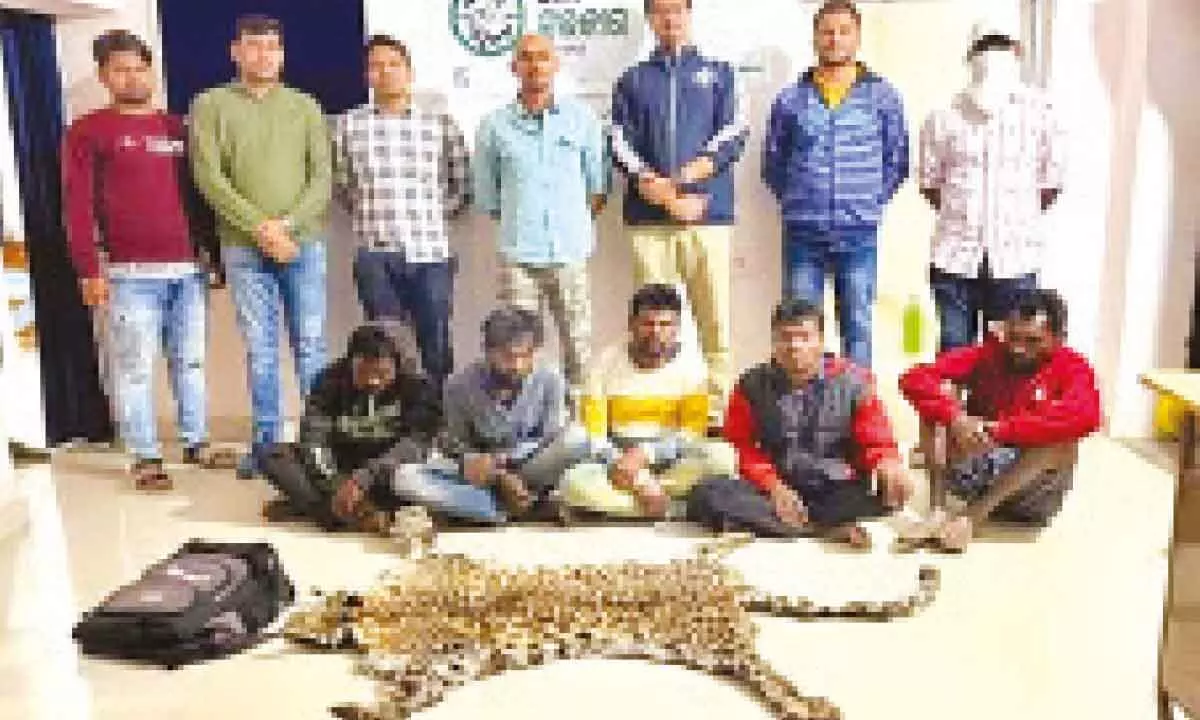 Bhawanipatna: Six poachers arrested
