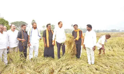 Every grain will be purchased: ZP chief