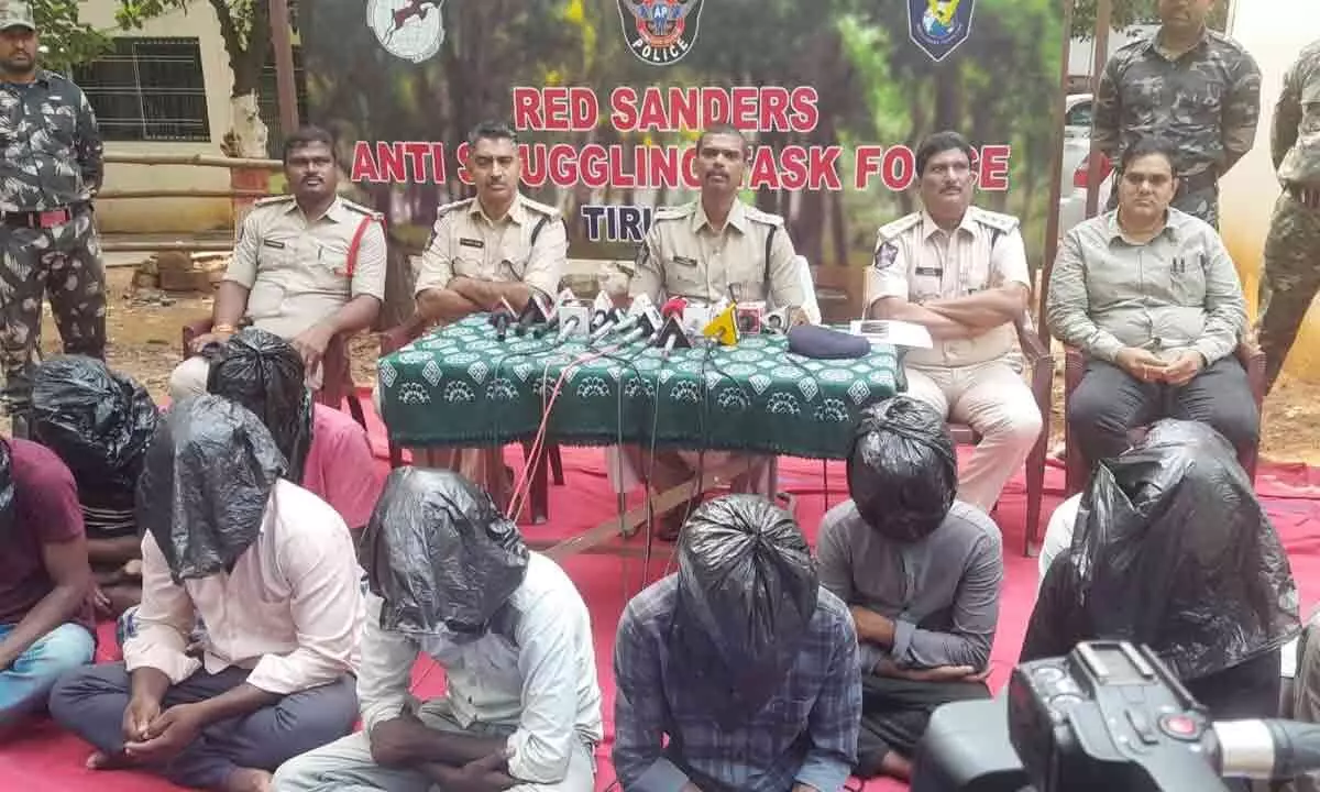 Tirupati: 10 red sanders smugglers held