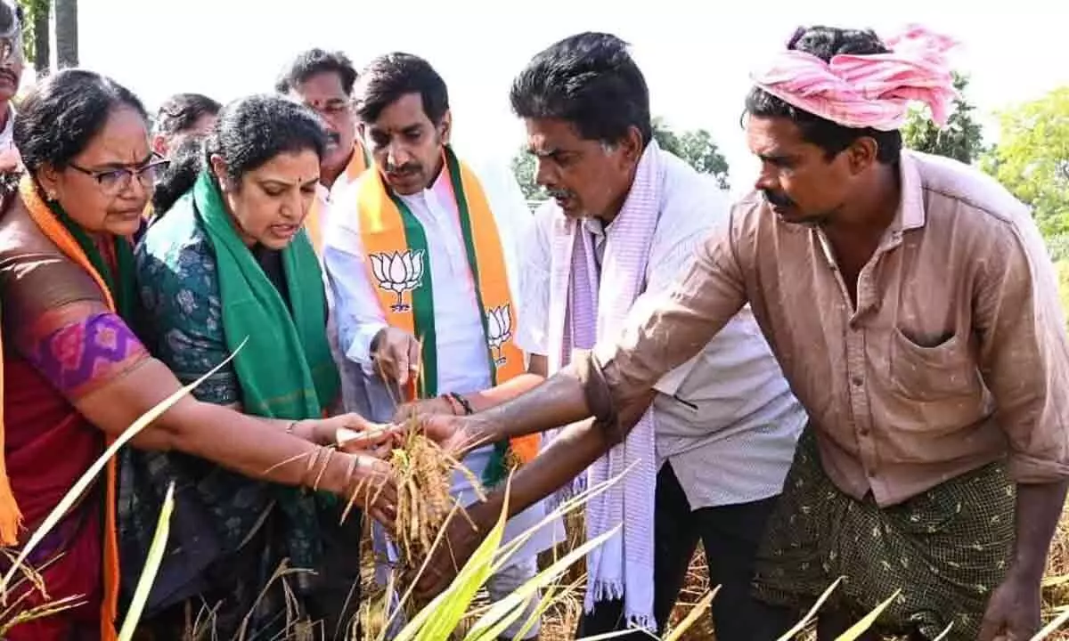 Eluru: BJP demands Rs 50,000 per acre compensation for crop damage